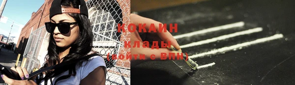 бошки Верея