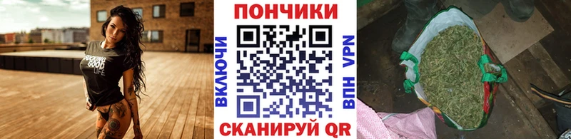 Бошки марихуана марихуана  даркнет клад  Каспийск  гидра как войти 